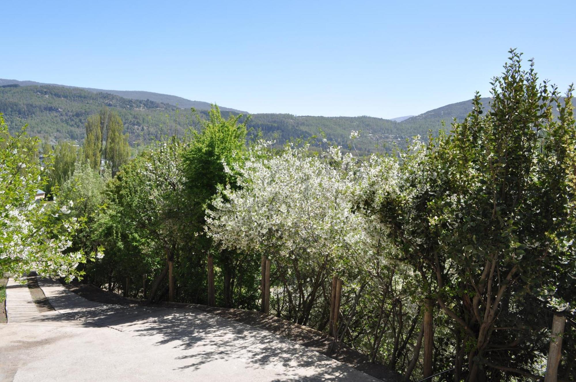 Melodia Natural En San Martín de los Andes Eksteriør bilde